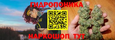 индика Кунгур