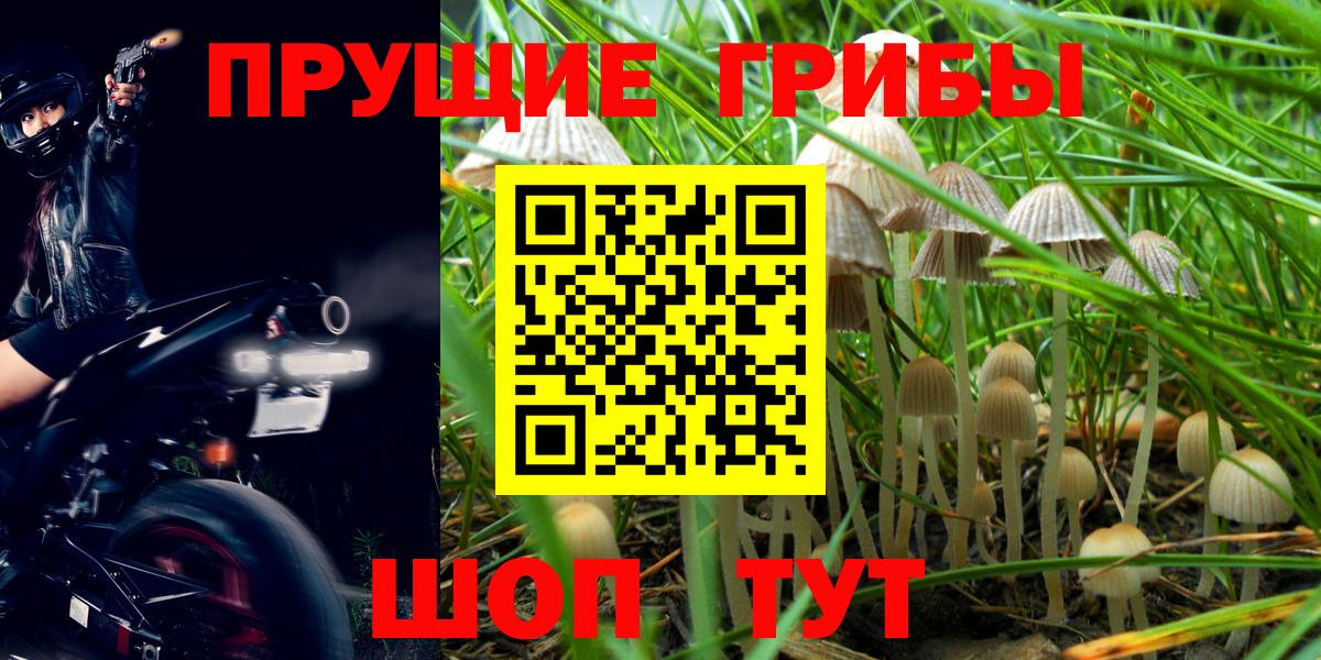 Джанкой  Галлюциногенные грибы Psilocybine cubensis  Галлюциногенные грибы Magic Shrooms  наркота  Вход с VPN 